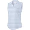 Blue Stripe